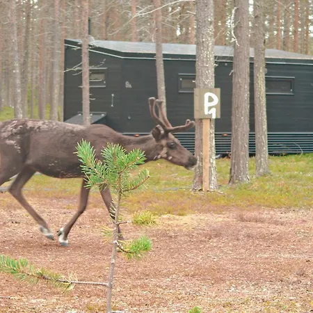 Lapland Landscape With Nature View, Sauna, Fireplace & Kitchen, Yllaes, Aekaeslompolo, Riverside Village *