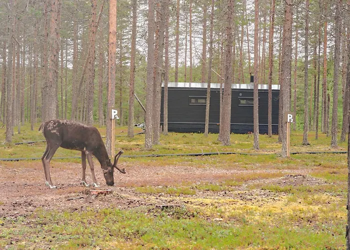 شاليه Lapland Landscape With Nature View, Sauna, Fireplace & Kitchen, Yllaes, Aekaeslompolo, Riverside Village *